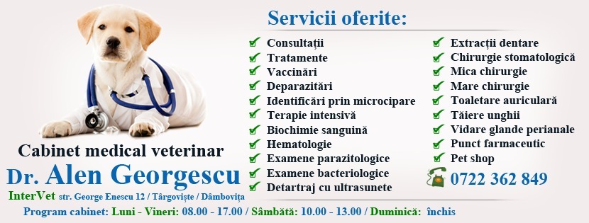 Dr. Alen Georgescu - Cabinet Medical Veterinar